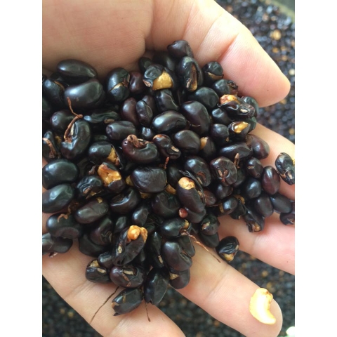 Trà đậu đen xanh lòng mầm 500gr