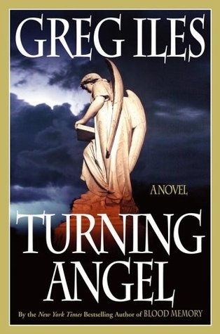 Turning Angel (Penn Cage, #2)