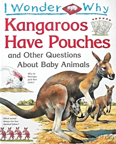 I Wonder Why Kangaroos Have Pouches and Other Questions About Baby Animals