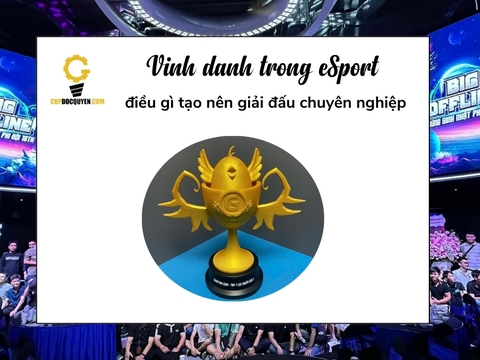 Vinh danh trong eSport: điều gì tạo nên giải đấu chuyên nghiệp