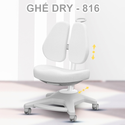 Ghế chống gù DRY-816