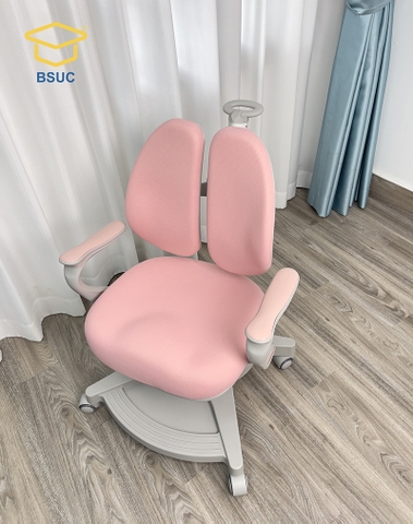 Ghế chống gù BSUC DRY-822