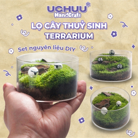 Lọ Cây Thuỷ Sinh Terrarium