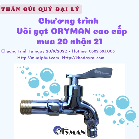 Vòi tay gạt chỉ lạnh cao cấp, đồng thau mạ crom VL6401
