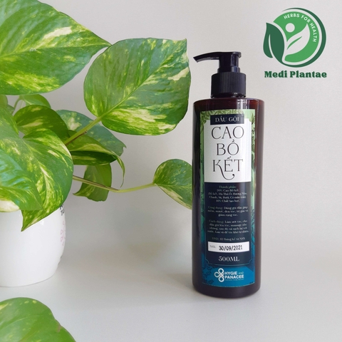 Dầu gội Bồ Kết thảo dược giảm rụng tóc - kích thích mọc tóc 500ml