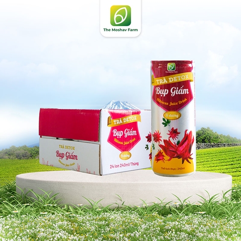 Trà Detox Bụp Giấm Moshav Farm Thùng 24 lon