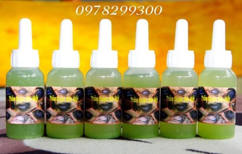 Thuốc Nhỏ Mắt Chó Mèo - Đặc trị đục thuỷ tinh - viêm giác mạc