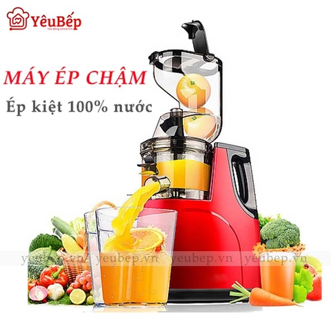 Máy Ep Chậm HongXin RH312 Ép Trái Cây, Rau Củ Quả Giữ Được 100% Vitamin Và 95% Lượng Nước