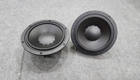 Loa Arouse Anh Quốc Bass 20 Từ Neo Coil 75