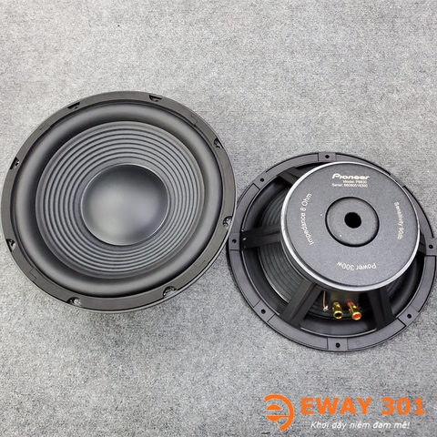 Cặp Loa Bass 30 P8830
