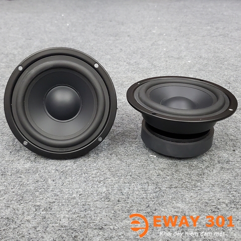 Cặp Loa Trung P8810