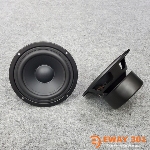 Cặp Loa Trung MID Bọc Khử Từ P6608