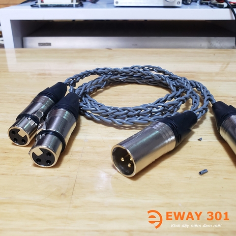 Cặp dây canon Hitachi 1m CNH0001