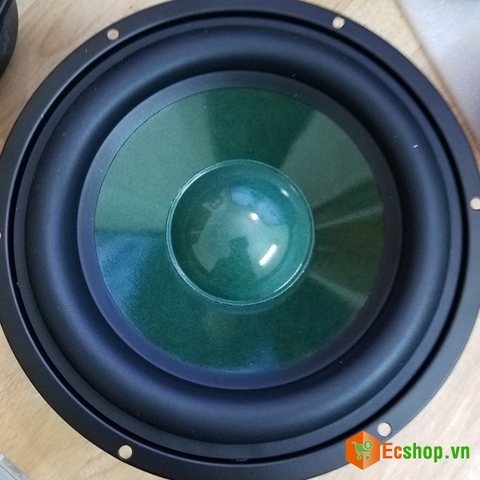 Củ Loa Bass Pioneer P8820 Màng Xanh