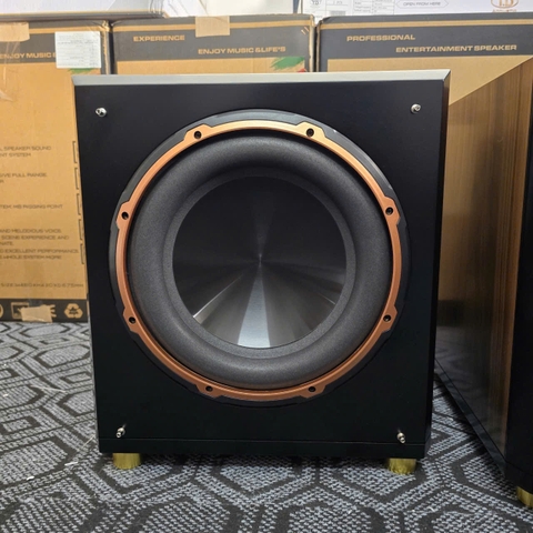 Mẫu Loa Sub Âm Trầm SUB-12TD+ - TD Acoustic