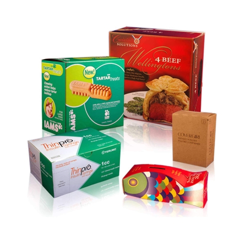 hop-song-la-gi-cac-loai-hop-song-pho-bien-hien-nay