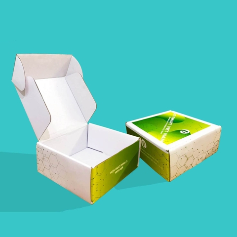 In Hộp cartton sóng số lượng ít