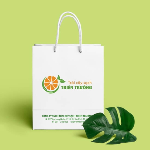 In Túi giấy đựng hoa quả