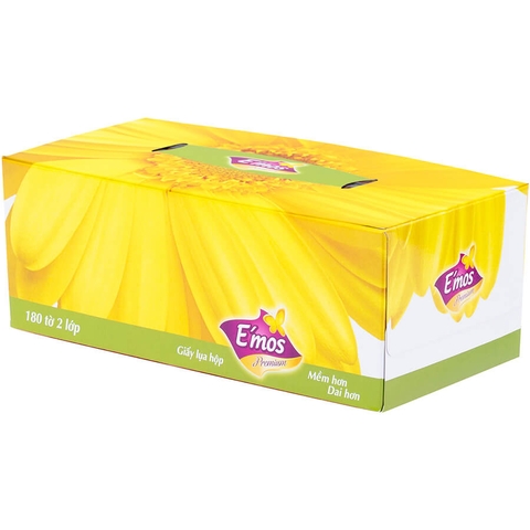 In hộp giấy đựng khăn