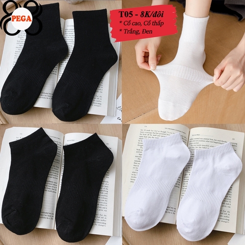 TẤT NỮ TRƠN T05