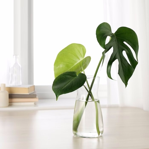 [Hàng có sẵn - Chính hãng] BÌNH NƯỚC - LỌ HOA THỦY TINH KARAFF IKEA