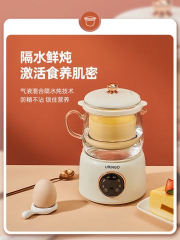 Bình chưng nấu dưỡng sinh đa năng URINGO