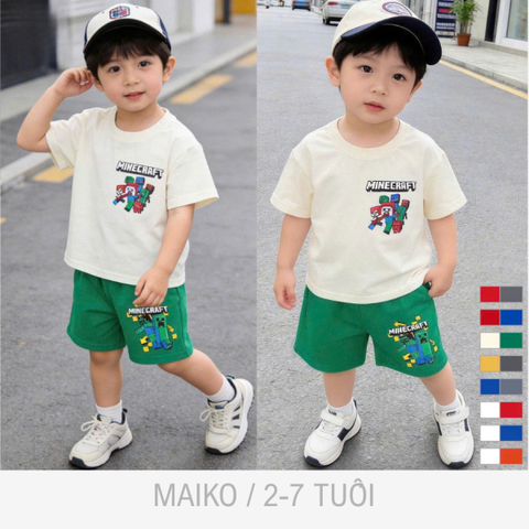 BỘ CỘC TAY COTTON IN HỌA TIẾT BÉ TRAI 2-7 TUỔI