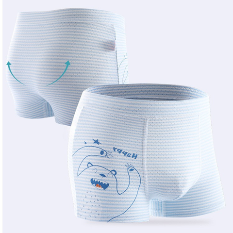 SET 2 QUẦN CHIP ĐÙI THÔNG HƠI BÉ TRAI BT523