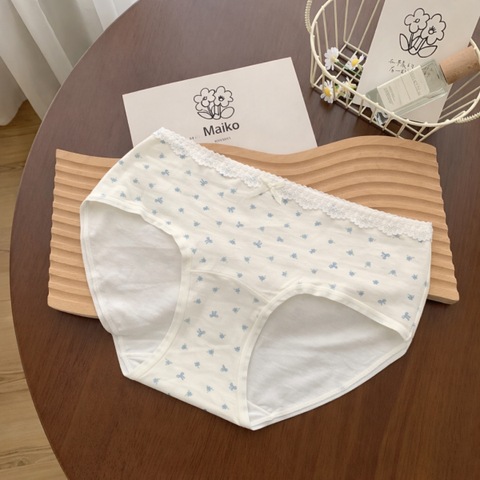 [ƯU ĐÃI] QUẦN LÓT TEEN HỌC SINH BÉ GÁI A2427