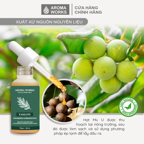 Dầu Mù U Hữu Cơ Dưỡng Da Aroma Works Face & Hair Oil Tamanu