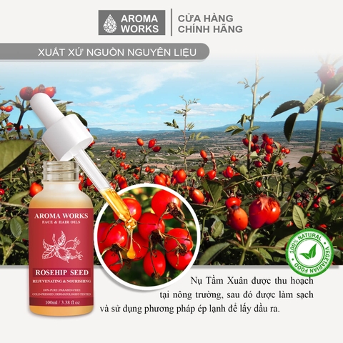 Dầu Nụ Tầm Xuân Dưỡng Da Và Tóc Aroma Works Face & Hair Oil Rosehip Seed