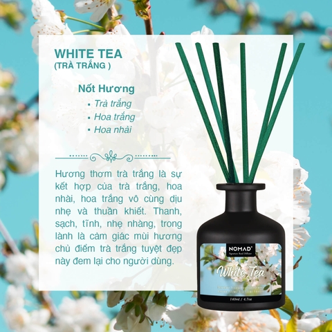 Bộ Tán Hương Que Mây Nomad Reed Diffuser 140ml - White Tea
