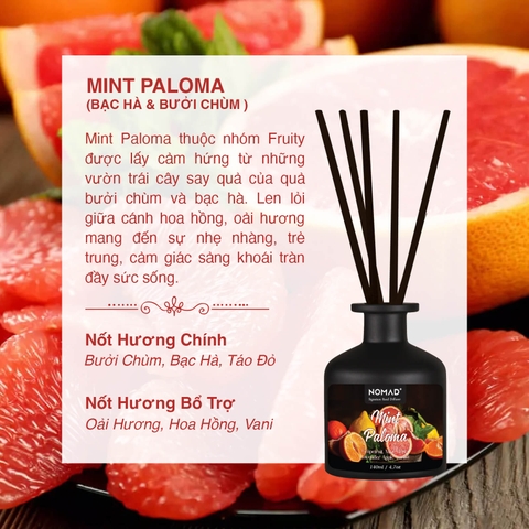 Bộ Tán Hương Que Mây Nomad Reed Diffuser 140ml - Mint & Paloma