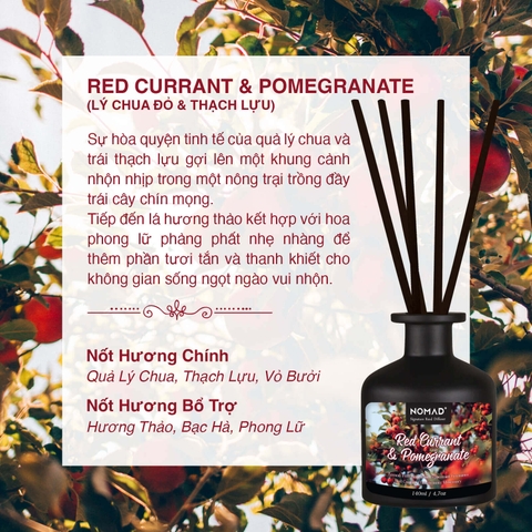 Bộ Tán Hương Que Mây Nomad Reed Diffuser 140ml - Red Currant & Pomegranate
