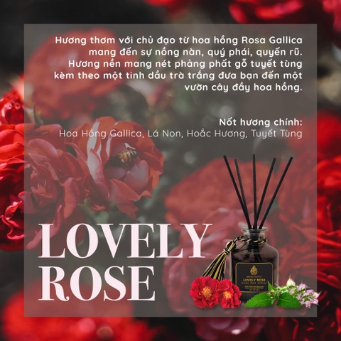 Bộ Tán Hương Que Mây Aroma Works Reed Diffuser 130ml - Lovely Rose