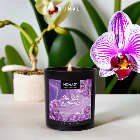 Nến Thơm Nomad Signature Scented Candle - Sea Salt & Orchid