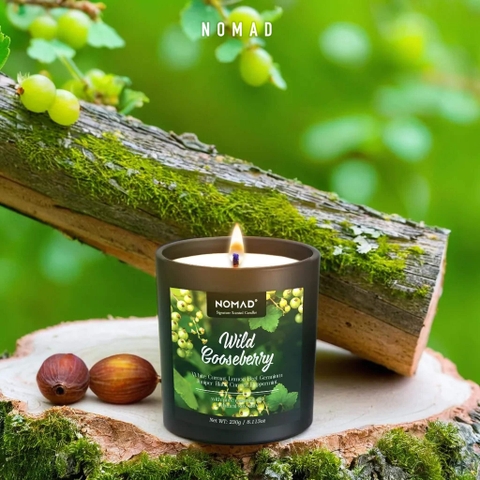 Nến Thơm Nomad Signature Scented Candle 230g - Wild Gooseberry