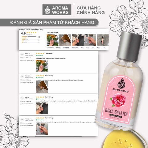 Nước hoa tinh dầu Aroma Works Rosa Gallica Eau De Parfum lưu hương lâu