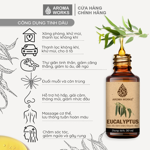 Tinh Dầu Thiên Nhiên Khuynh Diệp Aroma Works Essential Oil Eucalyptus