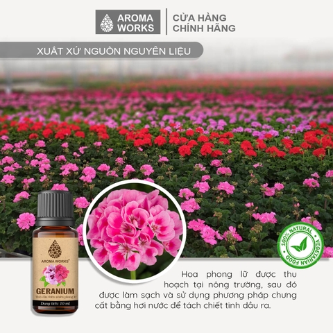 Tinh Dầu Thiên Nhiên Phong Lữ Aroma Works Essential Oil Geranium