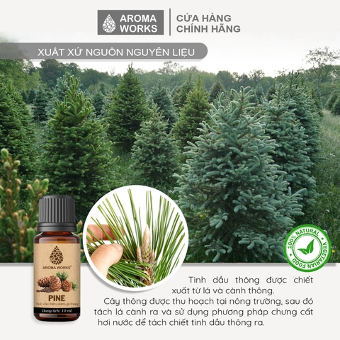 Tinh Dầu Thiên Nhiên Gỗ Thông Aroma Works Essential Oil Pine