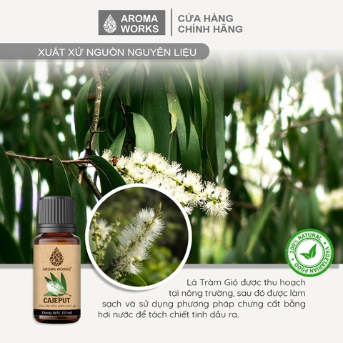 Tinh Dầu Thiên Nhiên Tràm Gió Aroma Works Oil Cajeput