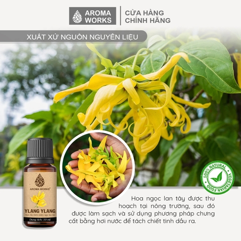 Tinh Dầu Thiên Nhiên Ngọc Lan Tây Aroma Works Essential Oil Ylang-Ylang