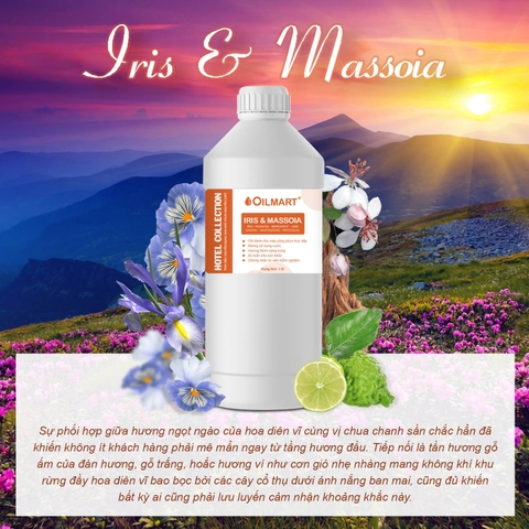 Tinh Dầu Nước Hoa Dung Tích Lớn Chuyên Dụng Cho Máy Phun Tinh Dầu Oilmart - Iris & Massoia