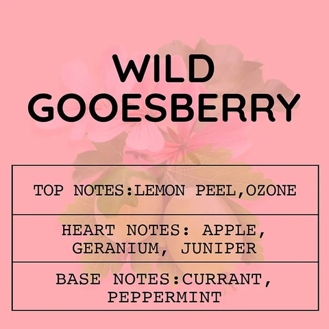 Tinh Dầu Thơm Làm Nến, Tán Hương, Mỹ Phẩm Mùi Wild Gooseberry