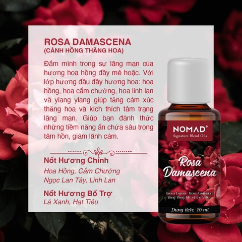 Tinh Dầu Thơm Nomad Signature Blend Oils - Rosa Damascena