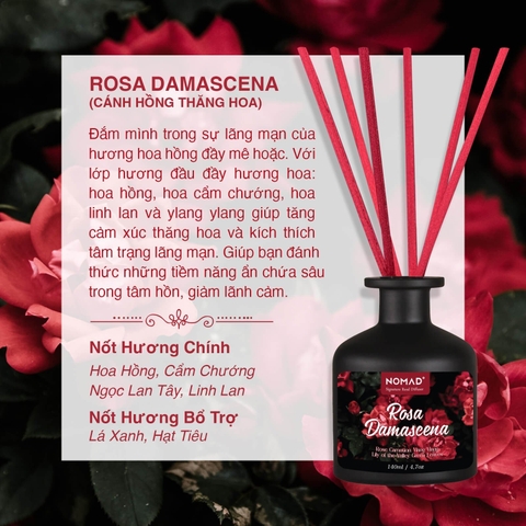 Bộ Tán Hương Que Mây Nomad Reed Diffuser 140ml - Rosa Damascena