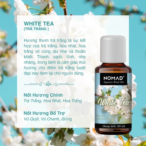 Tinh Dầu Thơm Nomad Signature Blend Oils - White Tea