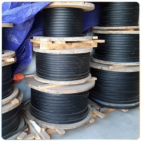 Hệ điện ngang máng C