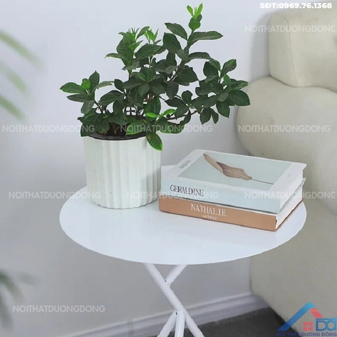 Bàn cafe chân độc đáo - BCF 14